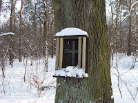 SDC15721.JPG Photo