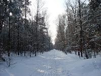 SDC15723.JPG Photo
