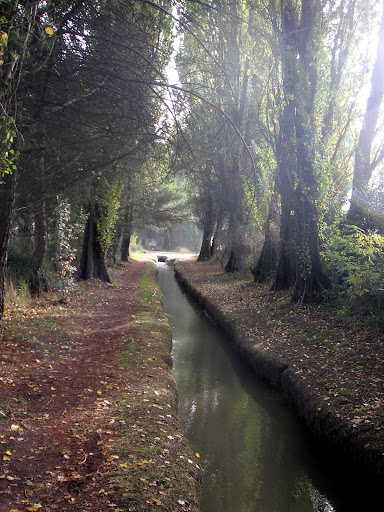 Canal