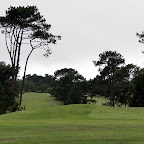 DSC03656.JPG