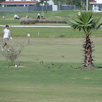 DSC04256.JPG