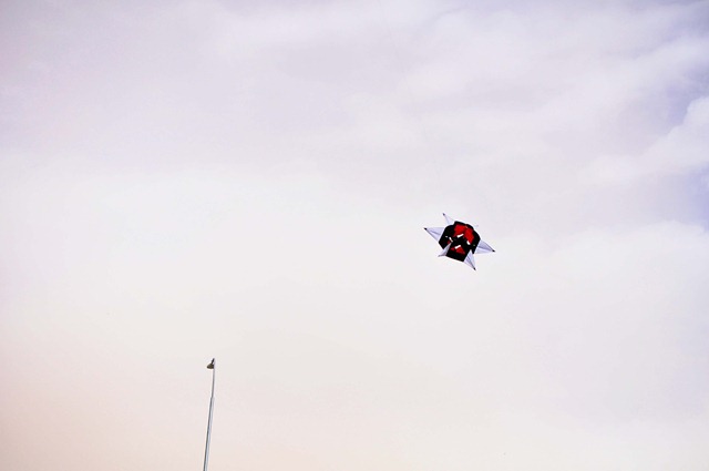 [DSC_50613.jpg]