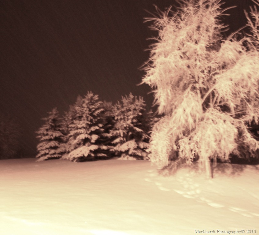 [20101211_344[20].jpg]