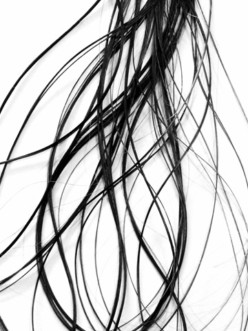 [hair strands 1[3].jpg]