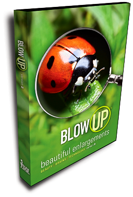 Blow Up 2 Box Shot