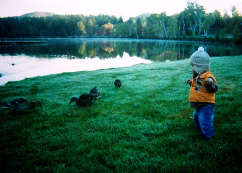 clip_image002