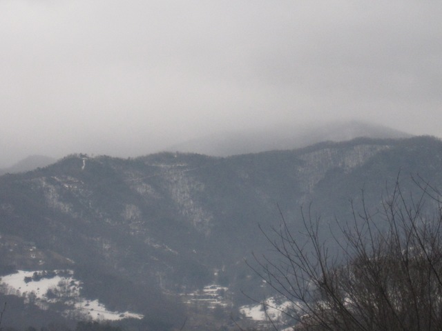 [ColdMtnRain2_01152010[3].jpg]