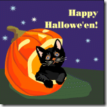 black_cat_pumpkin