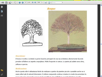 manualebonsai3