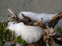 IMG_0176