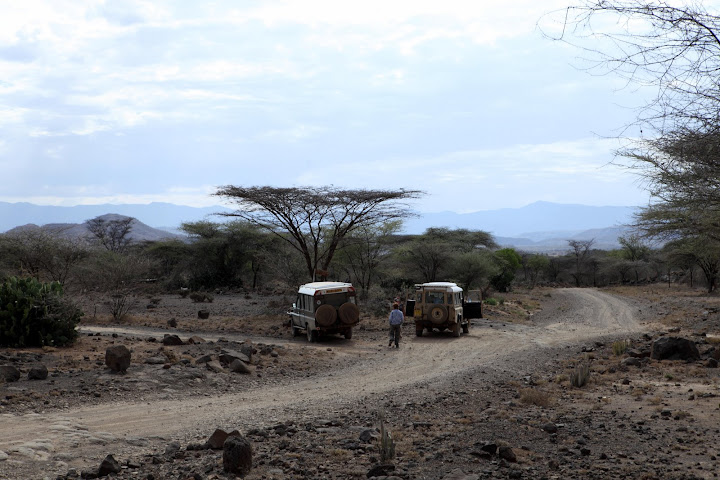 Дороги, тропы: куда они нас ведут - тут фотоответ