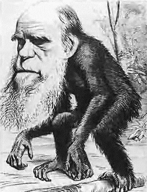 [Darwin_ape[2].png]