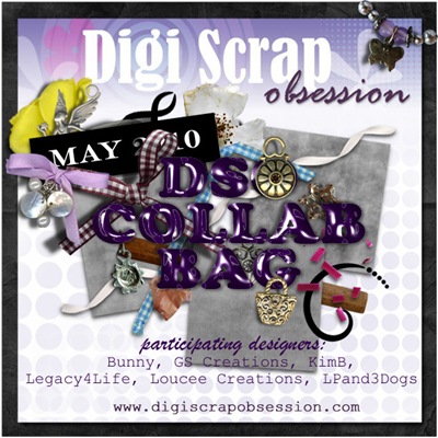 DSO-MAY-2010-COLLAB