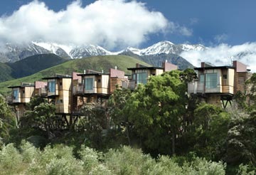 [treehouses_7[4].jpg]