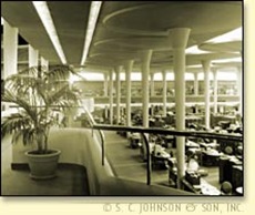 johnson_int1