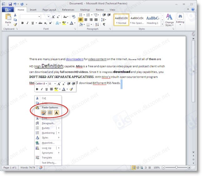 MS WORD 2010