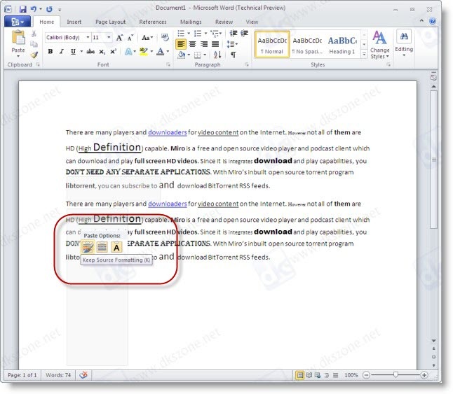 MS WORD 2010