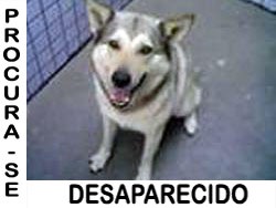 [p17_beatriz[2].jpg]