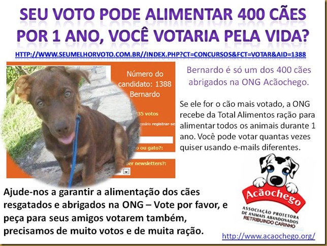 vote_acaochego