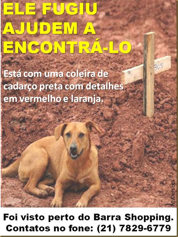 1rj_fugiu 1rj_fugiu