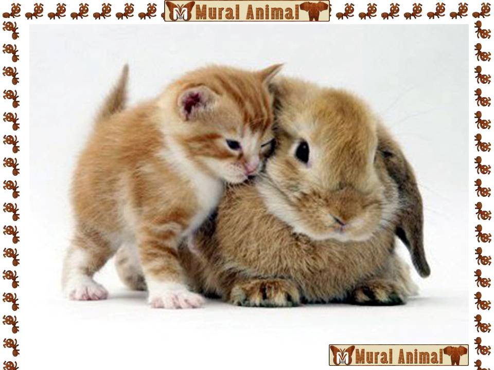 [ma_pascoa (4)[3].jpg]