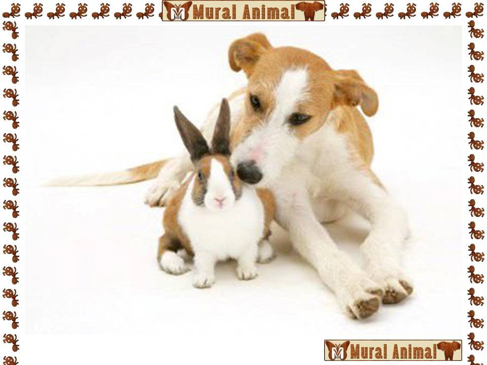 [ma_pascoa (9)[3].jpg]