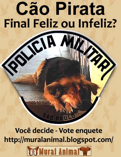 [enquete_pirata[5].jpg]