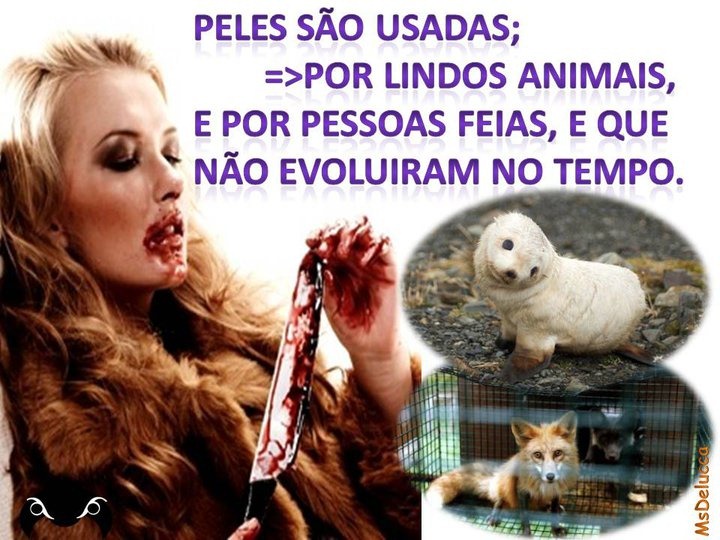 [pelavidaanimais[3].jpg]