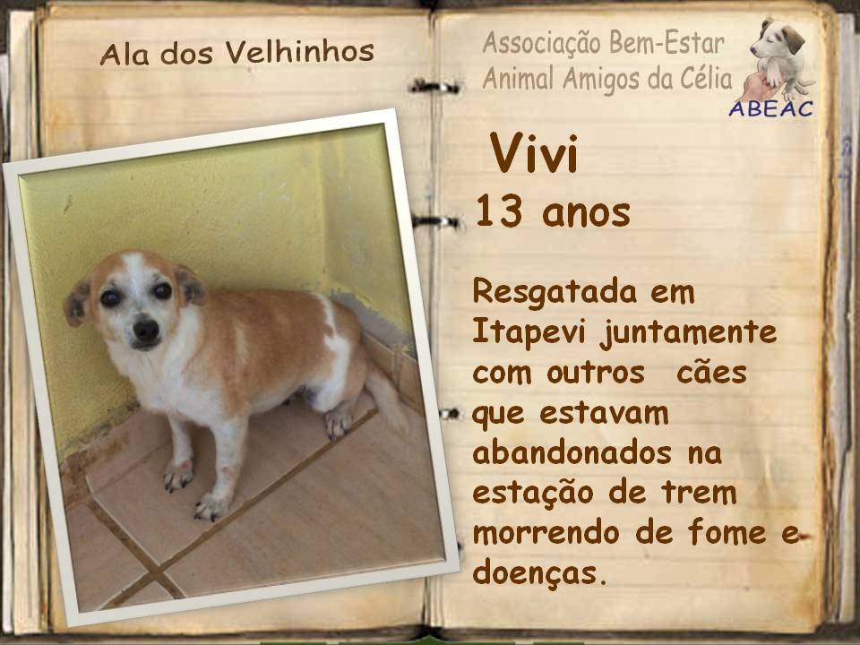 [abeac_v (9)[3].jpg]