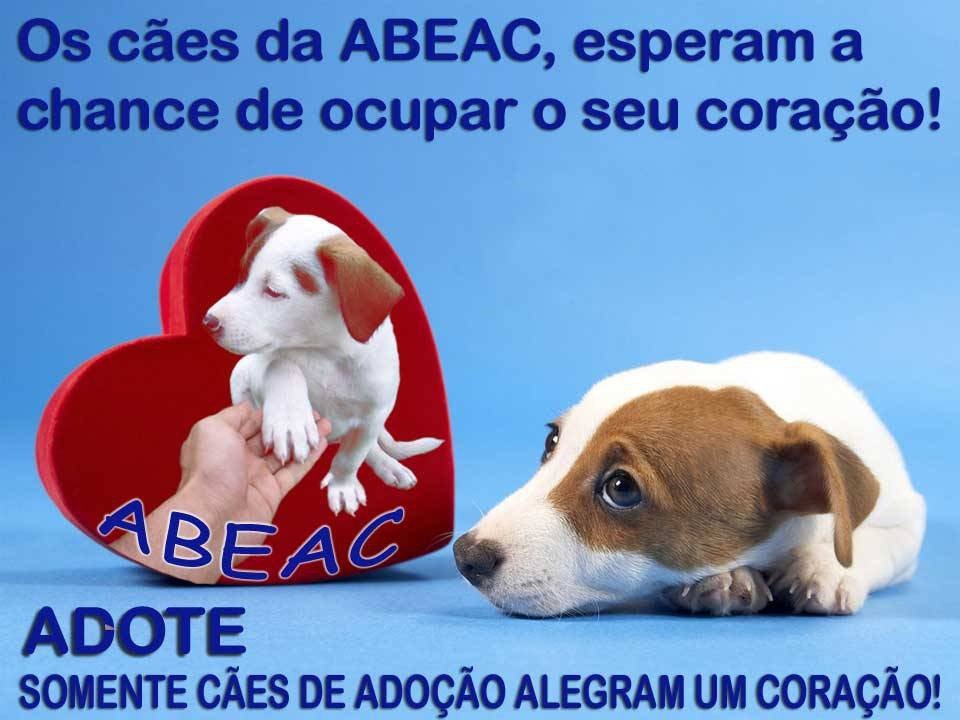 [abeac_heart[3].jpg]