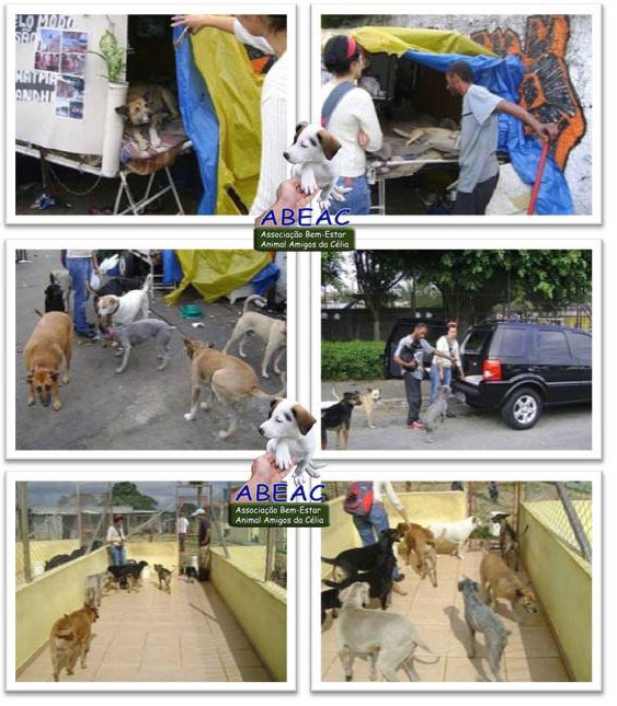 [abeac_resgate7-(6)[5].jpg]