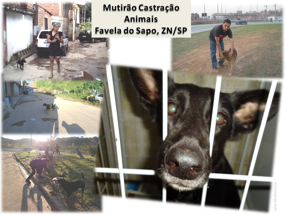 [Marcelinho_ (5)[2].jpg]