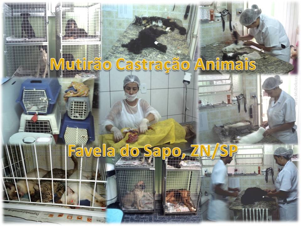 [Marcelinho_ (6)[3].jpg]