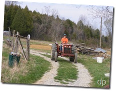 Dad on tractor