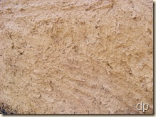 texture of the plaster sample