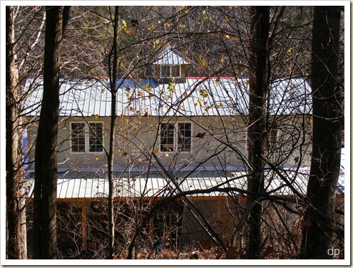 looking at the house through the trees on the hillside