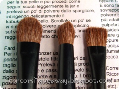 Giveaway-Minerale-Puro-make-up-Set-Pennelli-Particolare-2 Giveaway-Minerale-Puro-make-up-Set-Pennelli-Particolare-2
