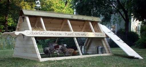 Portable A-frame chicken coop, chicken coop plans. Portable A-frame chicken coop,
