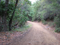 IMG_7610.JPG