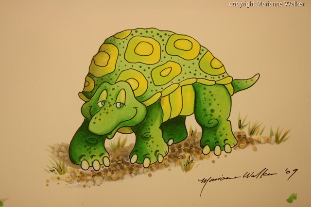 [mw turtle[7].jpg]
