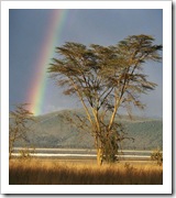rainbows_sky_Funzug.org_10