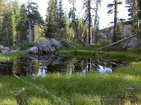 DSC00068.JPG