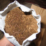 I Got Worms