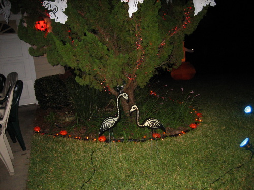 His front yard was full of bright spooky things