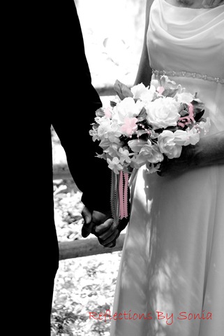 [DSC_4310-1[2].jpg]
