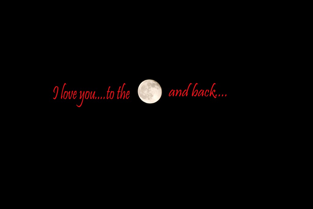 [moon[4].jpg]