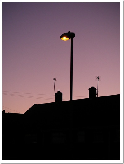 2009_12250084 copy