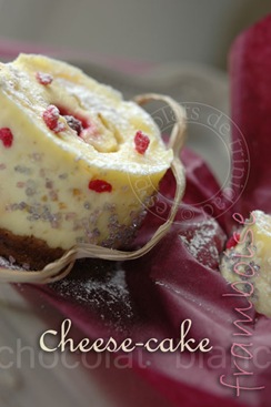 [cheesecake2B[4].jpg]
