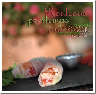 rouleauprintemps1 copie rouleauprintemps1 copie