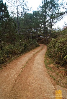 A Part of the Paved Path to Sagada's Calvary Hills